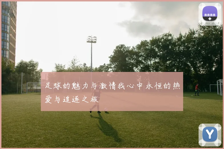 足球的魅力与激情我心中永恒的热爱与追逐之旅
