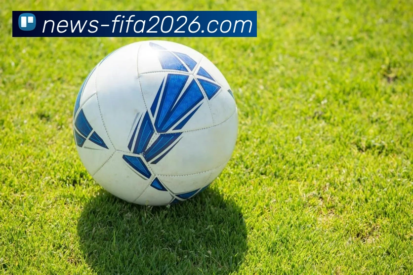 玩法全解析平台生态图