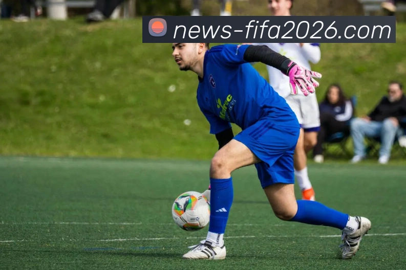 玩法全解析APP 封面图